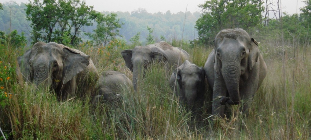 North East and East Region